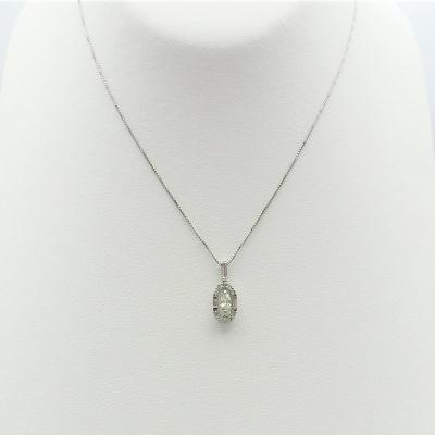 ふるさと納税 甲府市 甲府市発 プラチナダイヤモンドネックレス PT900 0.3ct [WP-1945PT] |  | 01
