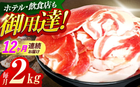 【12回定期便】猪肉切り落とし2kg(ぼたん鍋・煮込料理・野菜炒め用等)[OAJ024]猪肉ジビエ猪肉ジビエ猪肉ジビエ猪肉ジビエ猪肉ジビエ猪肉ジビエ
