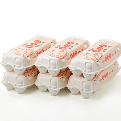 【毎月定期便】岩田のおいしい卵　実用中玉55個+破卵保障5個 (10個入り×6パック)全3回【配送不可地域：離島】【4079453】