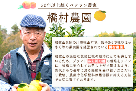 【先行予約】【大玉】 あら川の桃 約2.5kg-3kg(6-8個※1個300g以上)橋村農園《2026年7月上旬-8月上旬頃出荷》和歌山県 紀の川市