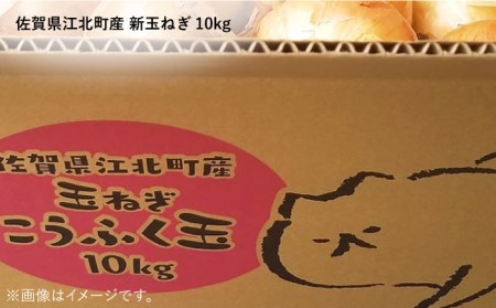 【先行予約】【こうふく玉でハッピーをお届け】佐賀県江北町産 新玉ねぎ 10kg【こうふく農園】 [HBA002]たまねぎ 新たまねぎ 早生 野菜 春野菜