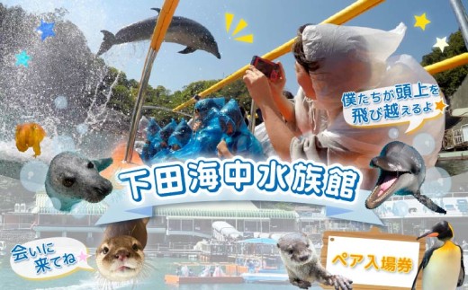水族館 入館チケット ペア 入場券  券 下田海中水族館 海 イルカ ペンギン カワウソ ふれあい 体験 観光 旅行  静岡県 下田市 伊豆