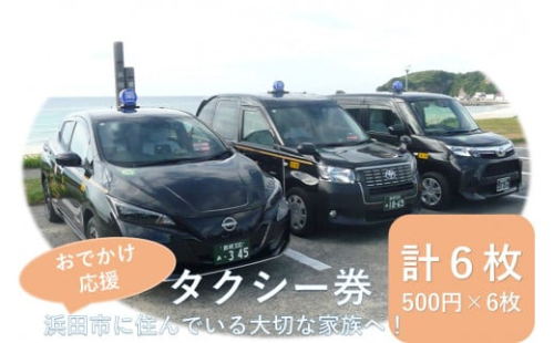 おでかけ応援タクシー券 500円6枚セット【158_1933】