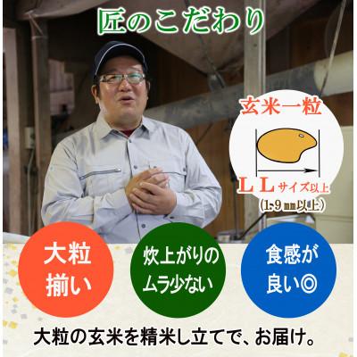 ふるさと納税 酒田市 【栽培期間中農薬不使用】コシヒカリ 精米5kg 大粒LLサイズ以上厳選 令和7年産 |  | 03
