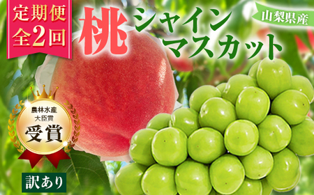 【発送月固定定期便】【訳アリ】山梨の桃とシャインマスカット全2回【配送不可地域：離島・沖縄県】【4063712】