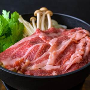 【ご自宅用・和牛】今帰仁牛 ロース スライス(しゃぶしゃぶ・すき焼き用)500g【配送不可地域：離島】【1659719】