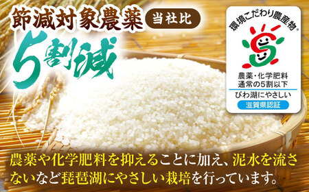 【令和7年産新米】 コシヒカリ 10kg 米 白米 こしひかり[AQDK002]