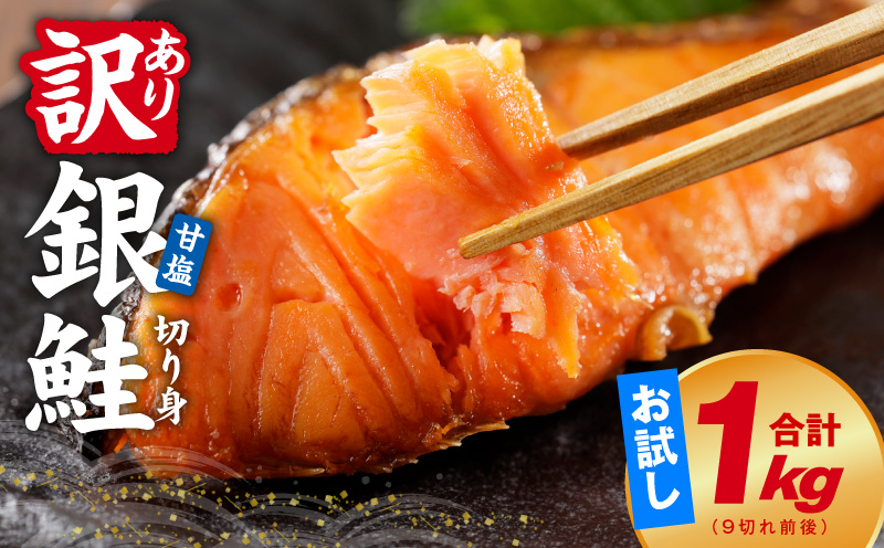 【訳あり】銀鮭 切り身 1kg(約9切れ)【規格外 甘塩 バラ凍結 海鮮 魚介 鮭 さけ しゃけ お弁当 朝食 おかず 簡単調理 家計応援 大阪 泉佐野 大阪府 泉佐野市】