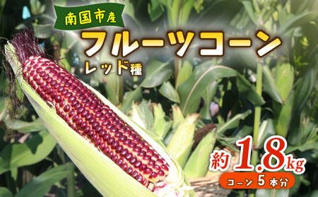 【2026年先行予約 / 数量限定 とうもろこし】フルーツコーン レッド種 5本 とうもろこし