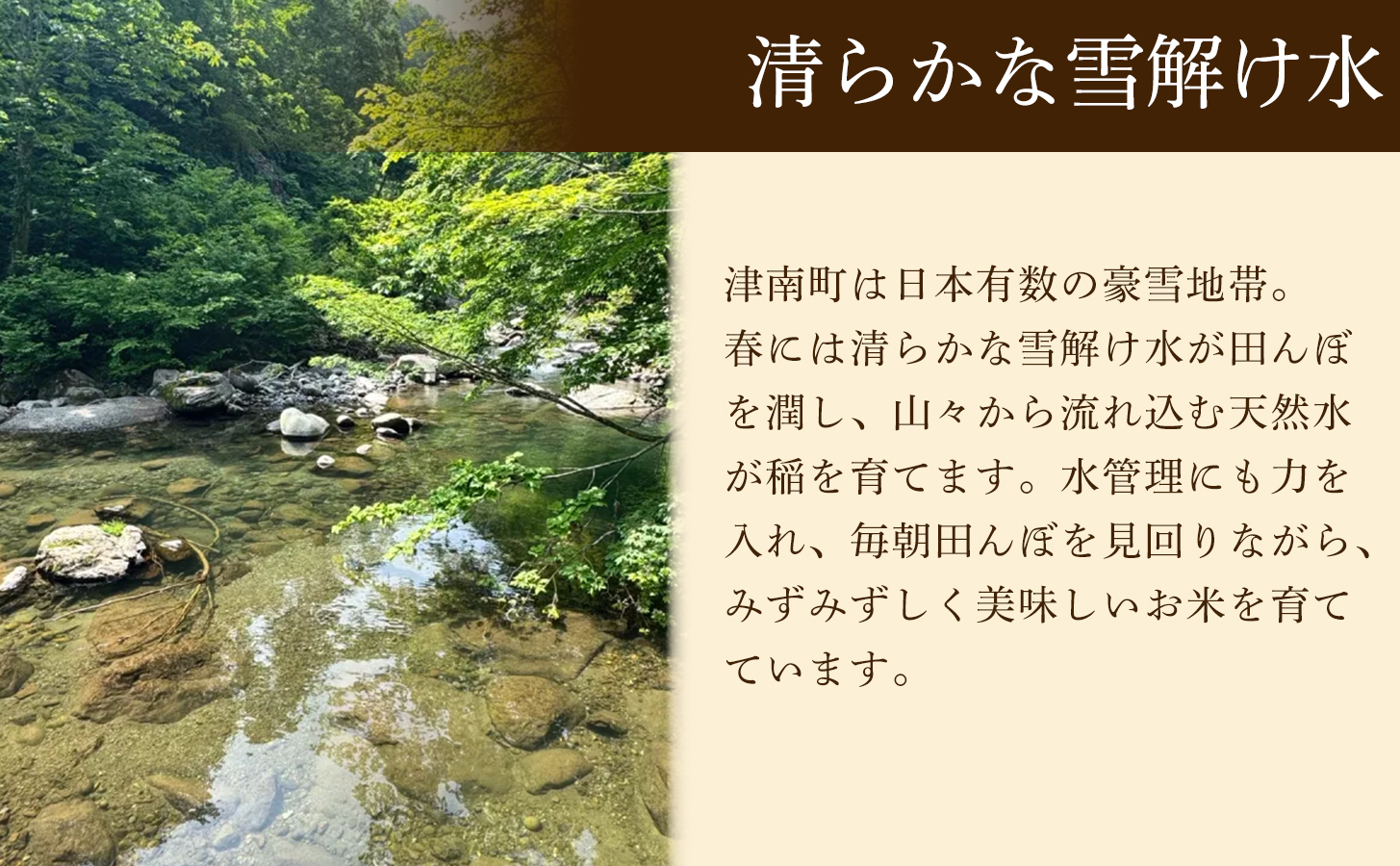 令和8年産【2ヶ月定期便】魚沼産コシヒカリ 特選米 5kg(5kg×1袋) | 新潟県 津南町 株式会社紀之介 165191-001-x2