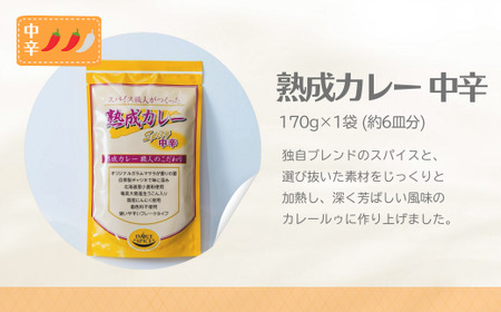 カレー 熟成カレー 中辛･甘口 各2袋 合計4袋 セット | カレー セット カレー セット カレー セット 井上スパイス
