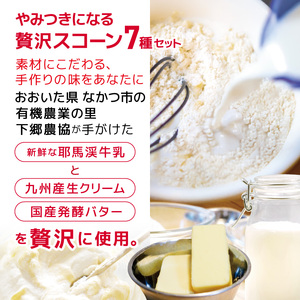 【定期便3回】リタスイーツおすすめスコーン詰め合わせ7種 | お菓子 菓子 おかし 洋菓子 焼き菓子 イギリス菓子 スコーン 生クリームスコーン 生クリーム おすすめ 詰め合わせ セット 手作り おや
