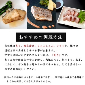  【11月～3月発送】 漁師直送！！ 一本釣り 京都鰆 3kg さわら
