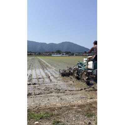 ふるさと納税 弥彦村 令和7年産「伊彌彦米 零(ぜろ)」玄米10kg(5kg×2袋) 農薬・化学肥料不使用 新潟県 弥彦村 |  | 03