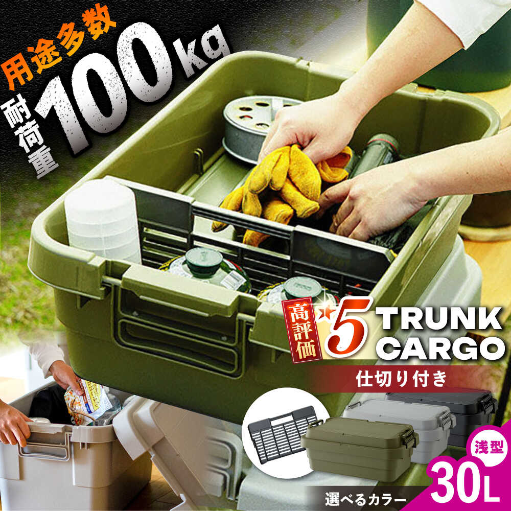 【ふるさと納税】＼キャンペーン実施中！／【選べる3色】トランクカーゴ 専用仕切板セット ロウタイプ M1個 / キャンプ ボックス 収納 ケース 収納ケース 収納ボックス バーベキュー BBQ 道具箱 レジャー ギア キャンプ用品 防災 アウトドア/恵那市/東谷株式会社[AUAD037]