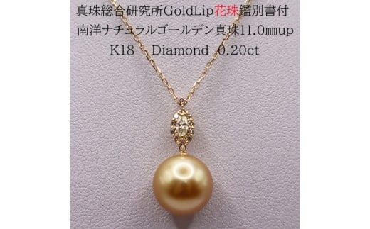 1955 【真珠総合研究所GoldLip花珠鑑別書付】K18　南洋ナチュラルゴールデン真珠11.0㎜up　ダイヤモンド0.20ct 　ペンダントネックレス
