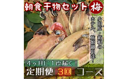 【4ヶ月に1回配送 定期便3回】小田原、箱根の旅館、ホテル御用達！朝食干物セット 梅【 まぐろや 神奈川県小田原市 】