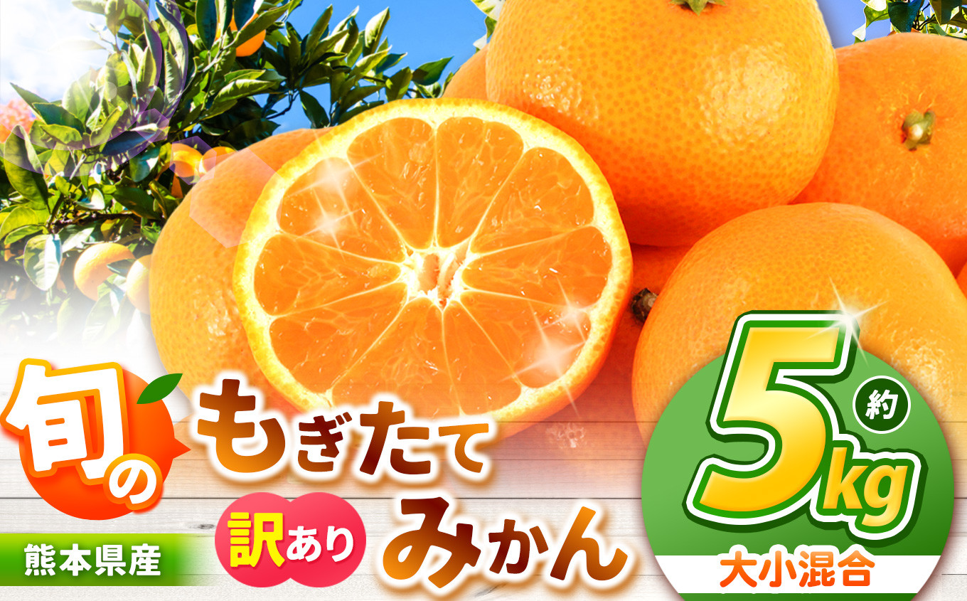 
            【 先行予約 】 旬のもぎたてみかん 約 5kg 大小混合 訳あり 果物 熊本県なごみ町産  | 熊本県 熊本 くまもと 和水町 なごみまち なごみ みかん ミカン 蜜柑 柑橘 柑橘類 温州 果物 フルーツ 不揃い キズ スレ
          
