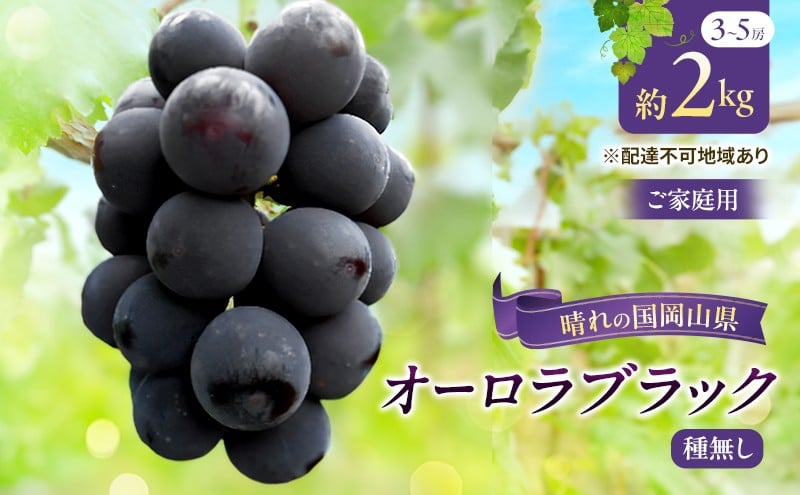 
                  【チョイス限定】【2026年先行予約】【ご家庭用】ぶどう 岡山県産 オーロラブラック （ 種無し ） 2kg以上（3～5房） 《2026年9月上旬-中旬頃出荷》 葡萄 ブドウ フルーツ 数量限定 岡山 里庄町
                