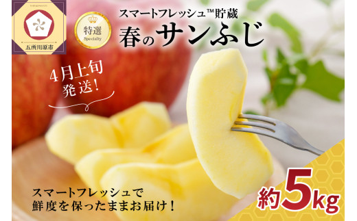 【2026年4月上旬発送】りんご春のサンふじ特選5kg スマートフレッシュTM貯蔵