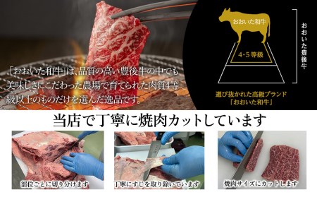 おおいた和牛 ランプ焼肉200g  牛肉 和牛 豊後牛 国産牛 赤身肉 焼き肉 すき焼き しゃぶしゃぶ肉 大分県産 九州産 津久見市 国産【tsu0018011】