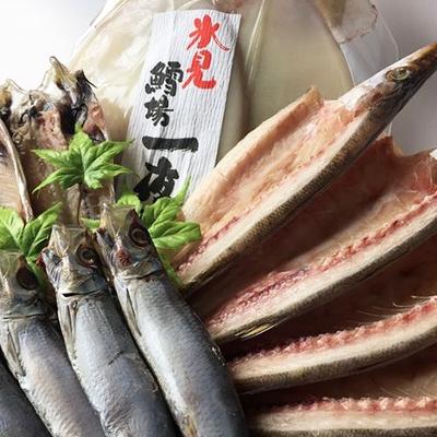 ふるさと納税 氷見市 【鱈場特選】きときと魚一夜干し!氷見産4種詰合せ《鯵・かます・鰯・するめ》 |  | 01
