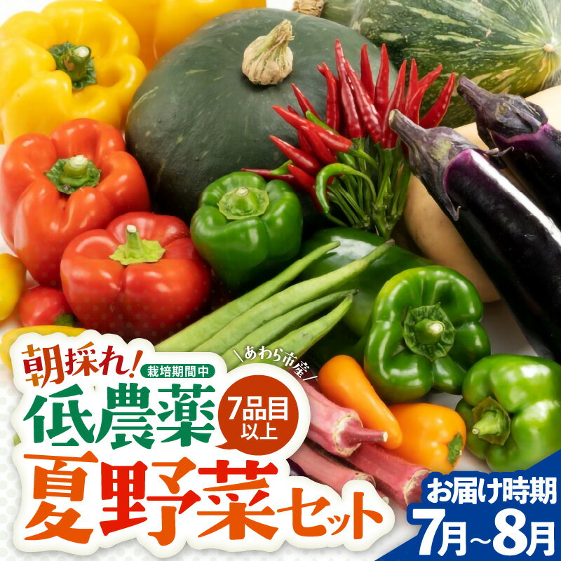 【ふるさと納税】【先行予約】農家直送 夏野菜セット 1箱 7品目以上 《元気に育った新鮮野菜！》／ 季節 夏 野菜 ボックス BOX セット セレクト 農家 おまかせ 多品目 旬 詰め合わせ ※2026年7月中旬以降発送