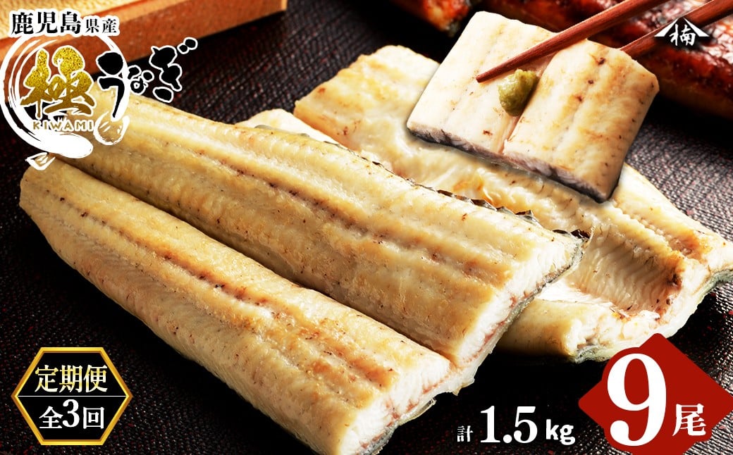 
【定期便全3回】うなぎ本来の旨みが楽しめる白焼き定期便！ t0066-002
