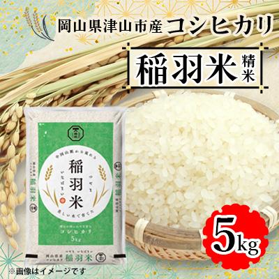 ふるさと納税 津山市 【岡山県津山市産】稲羽米5kg(コシヒカリ)