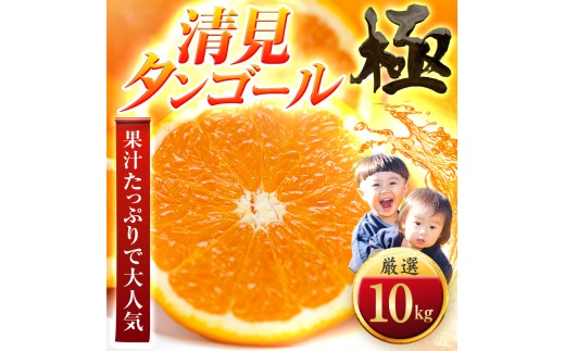＜太陽をたっぷり浴びた＞清見タンゴール＜極＞10kg＜F49-53＞【1509750】 YWTZ045