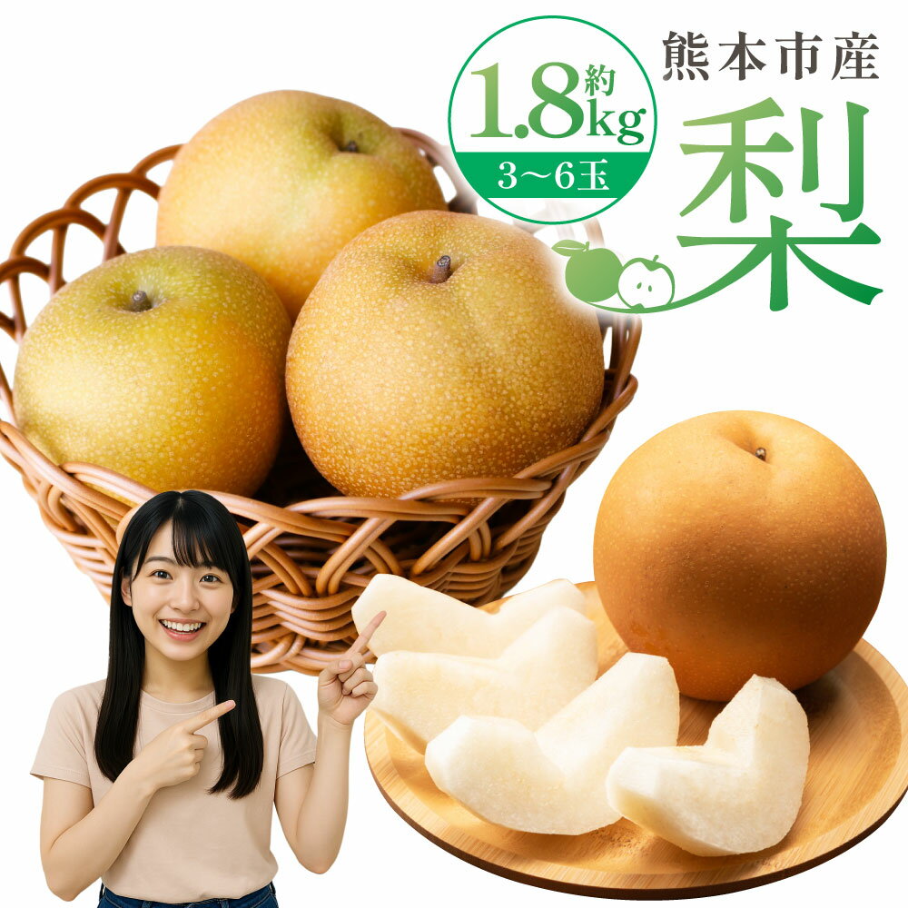【ふるさと納税】 熊本市産 梨（幸水・豊水・秋月・新高など）約1.8kg（3～6玉） 5000円 なし フルーツ くだもの 果物 果実 熊本県産 国産 冷蔵 送料無料 【2026年8月下旬～10月上旬迄発送予定】