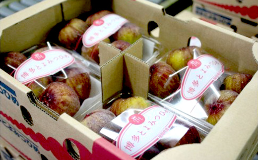 2J7【福岡県産】とよみつひめ（イチジク）　１.２ｋｇ（３００ｇ×４Ｐ）