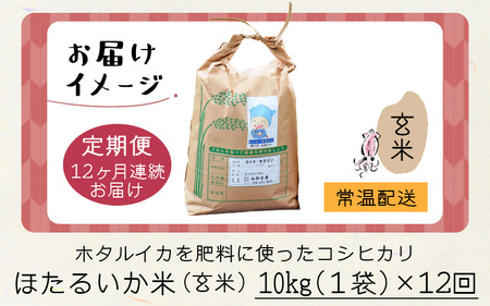 【訳あり】ほたるいか米（玄米10kg）×12回 計120kg【12ヶ月定期便】【訳あり 米 コシヒカリ こしひかり ほたるいか ホタルイカ お米 ブランド米 富山 滑川】[O-021001]