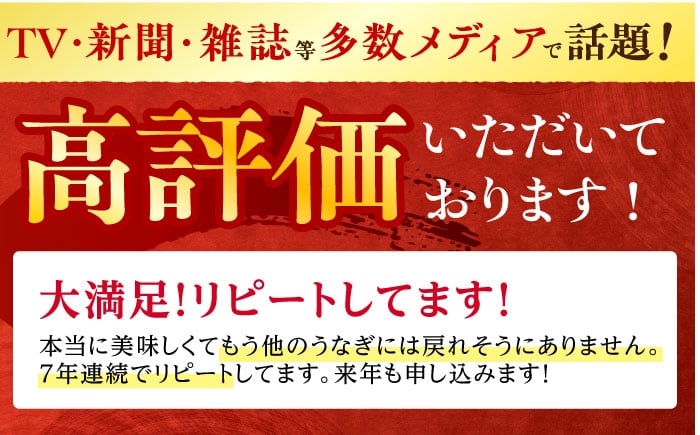 うなぎ 鰻 ウナギ unagi うなぎ蒲 冷凍