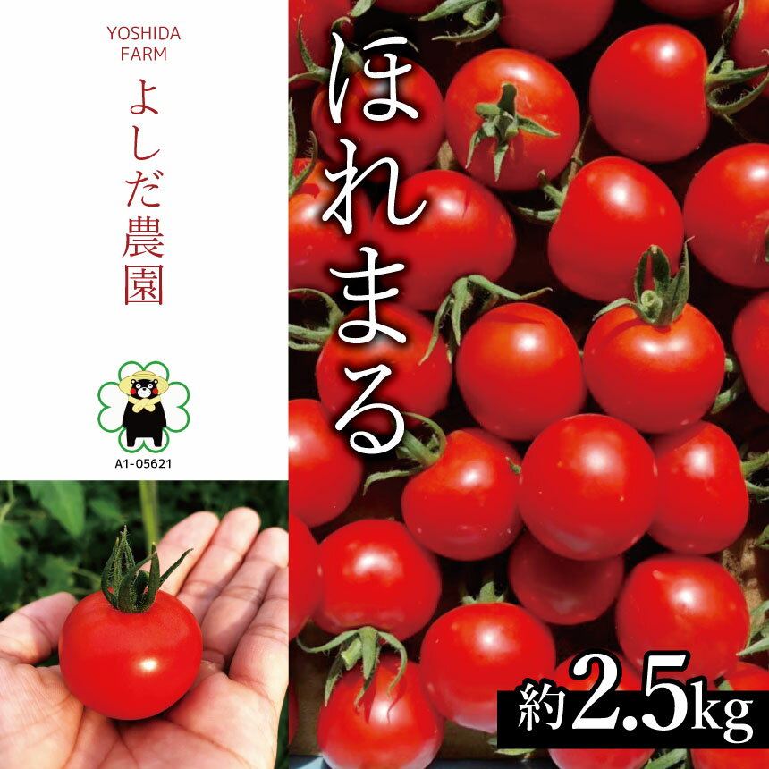 【ふるさと納税】ミニトマト 『 ほれまる 』 約2.5kg よしだ農園 | 野菜 やさい トマト とまと 完熟 サラダ 熊本県 玉名市 産地直送 生産者直送 送料無料