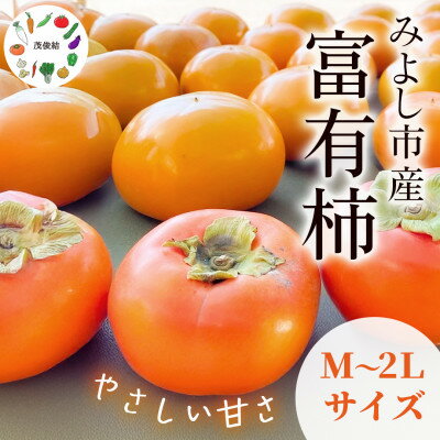 【ふるさと納税】茂俊結の富有柿【1656395】