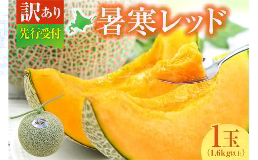 【令和8年産先行予約】【訳あり】北海道メロン 暑寒レッド 1玉 (1.6kg以上×1箱)《2026年9月より発送予定》ワケあり 家庭用 赤肉メロン わけあり 規格外 傷 不揃い くだもの フルーツ メロン めろん 9月 北海道 雨竜町