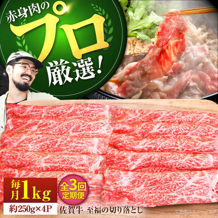 【ふるさと納税】【牧場直送】【3回定期便】佐賀牛 至福の切り落とし 1000g（250g×4パック）【佐賀セントラル牧場】A4 A5 佐賀牛 黒毛和牛 肉 お肉 牛肉 切落し 1kg 人気 おすすめ 冷凍 佐賀県 白石町 [IAH094]