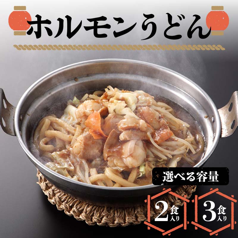 【ふるさと納税】＼選べる容量／ ホルモンうどん 2・3 食入り 冷凍 うどん 牛肉 F6L-1214var