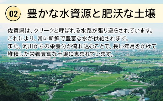 貴重！鹿島産バナナ 約1kg（5～8本）｜岩永さんちのバナナ 安心安全 栽培期間農薬不使用 上品な甘さ＆もちもち食感 生産者直送 おやつ 朝食 国産 果物 フルーツ ばなな 佐賀県 鹿島市 人気 B-