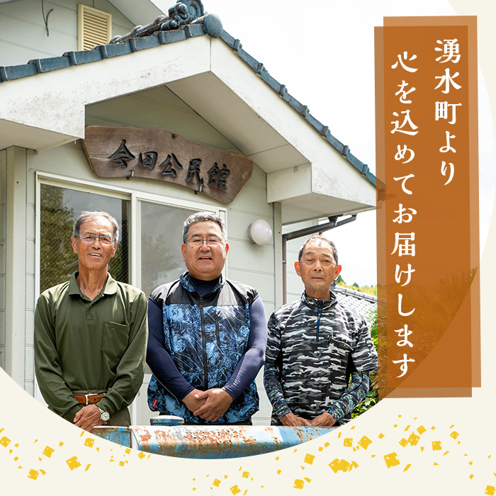 y565 ≪期間/数量限定・2026年10月下旬から順次発送予定≫鹿児島県産ヒノヒカリ 湧水の田舎米(白米10kg) 国産 九州産 鹿児島県産 湧水町産 10キロ お米 おこめ 米 白米 ご飯 ごはん おにぎり ひのひかり 【会田米生産グループ】