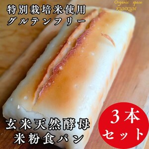グルテンフリー 玄米天然酵母米粉食パン 3本セット グルテンフリー OSK001