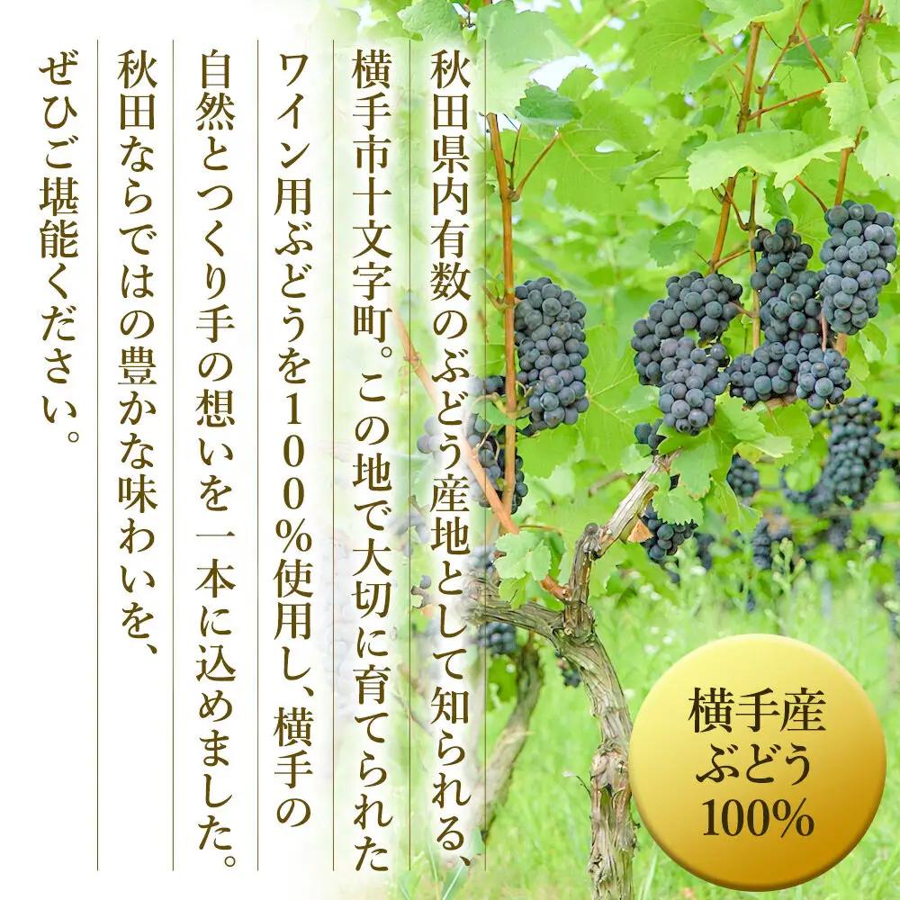 赤ワイン 飲み比べ 2本セット メルロー樽熟成・シラー 720ml×各1本