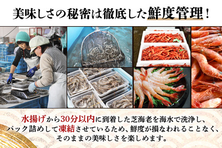 《受付再開》冷凍えびセット(芝えび1kg・むき甘えび20尾×2） B-421