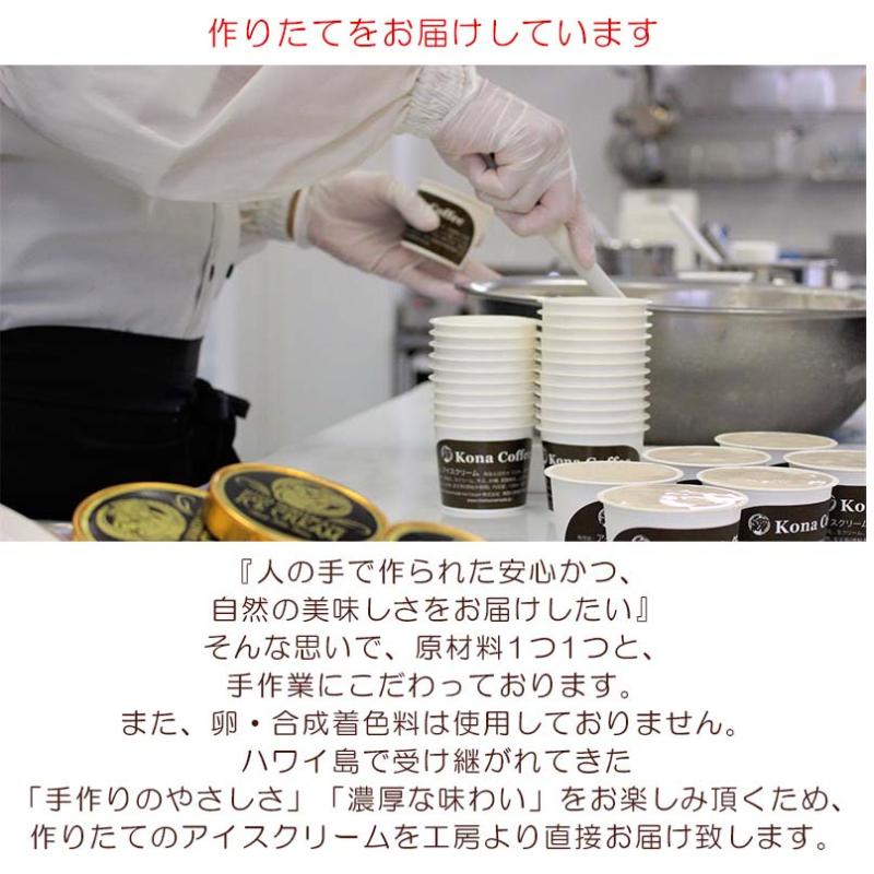 季節おすすめ アイスクリーム 130ml×6個 セット 手作りアイスクリーム 手作り アイス Ice あいす ドルチェ ミルク おすすめ 食べ比べ 卵 人工添加物不使用 ヒロホームメイド お取り寄せ 