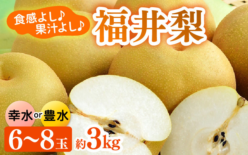 
                  【先行予約】福井梨 3kg 6～8玉入 《幸水梨 豊水梨どちらかのお届け！》 ／ 期間限定 果物 フルーツ 産地直送 旬 お取り寄せ ※2025年8月中旬以降発送 [aw003-a009]
                