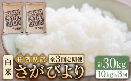 【全3回定期便】さがびより 白米 10kg（5kg×2袋）【五つ星お米マイスター厳選】 [HBL041]特A評価 特A 特A米 米 定期便 お米 佐賀 コメ