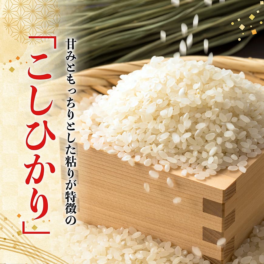 【令和7年産】宮崎県産米　村井農園産こしひかり（精米）2kg 【 米 お米 白米 精米 こしひかり 国産 宮崎県産 おにぎり 】