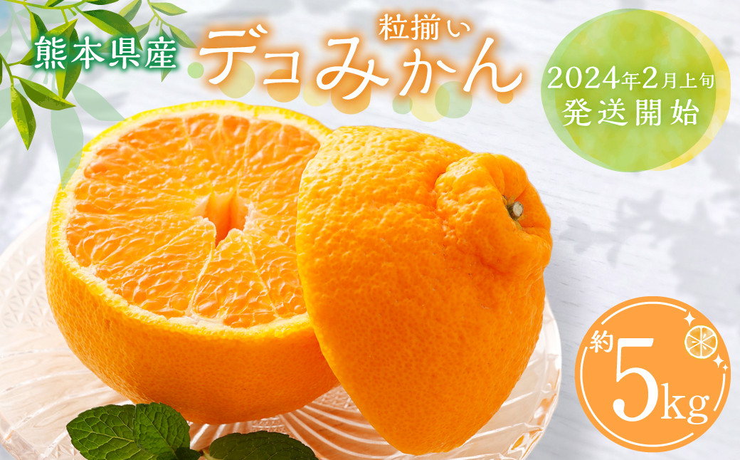 
熊本県産 デコみかん 約5kg 粒揃い 不知火 柑橘類 【2025年2月上旬発送開始】

