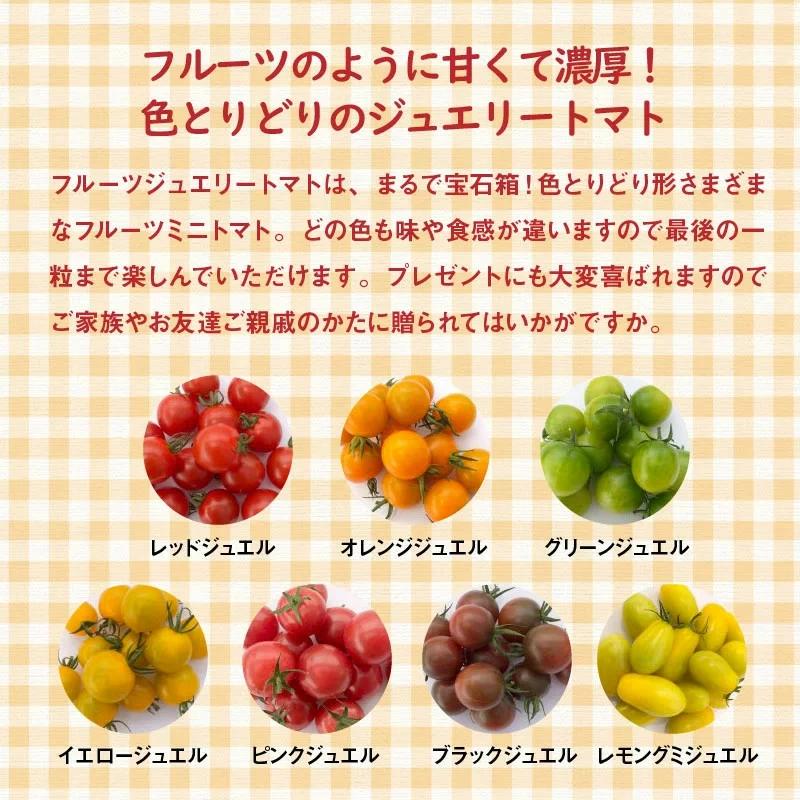 【2026年度予約分】【お試し】まるでトマトの宝石箱！ジュエリートマト 約700g（1月～4月発送）　長田農園 産地直送 トマト とまと 野菜 やさい フルーツ サラダ 濃厚 甘い ご褒美 プレゼント 美容 健康 リピート多数 人気 高評価 先行受付 数量限定 碧南市　H004-126
